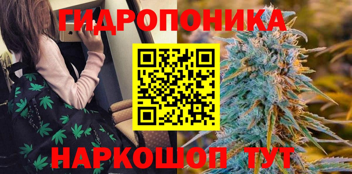 Сызрань  Каннабис планчик  Вход с VPN  Бошки марихуана тримм 